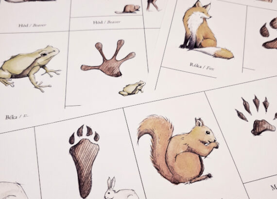 Játékos ősz foglalkoztató - Wabisabi Park